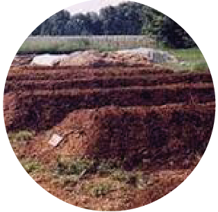 TIERRA